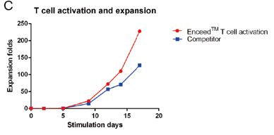 对激活后的T细胞数目进行监测，在第17天，Enceed™ T cell Activation可使T细胞扩增近250倍。