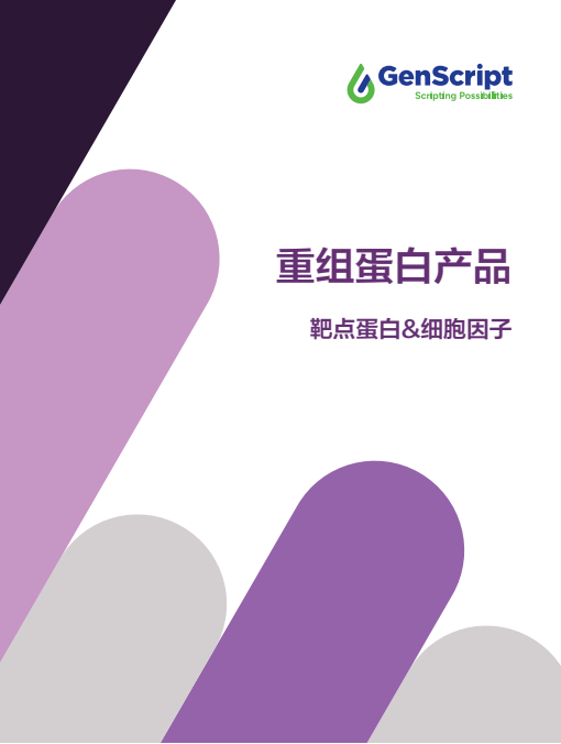 精选目录蛋白