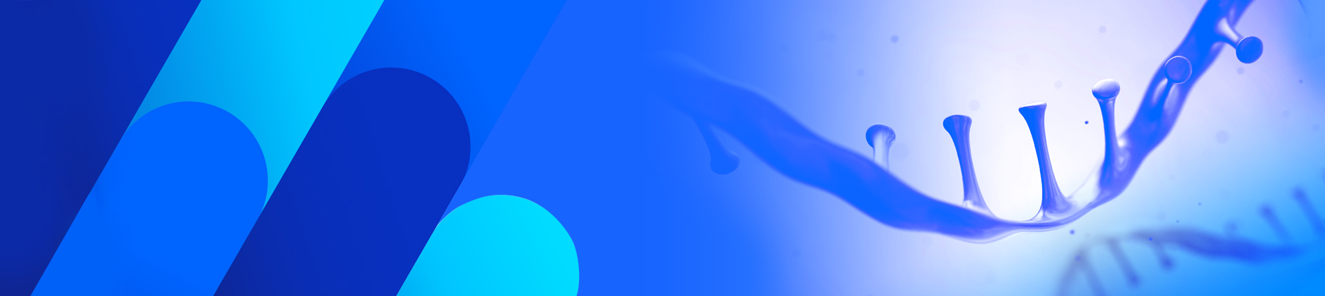 FAQ：引物的合成和纯化