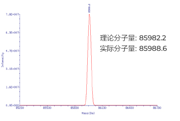 HPLC纯化的pegRNA (218nt):纯度高达 92.78%