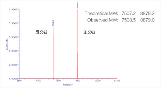 星空体彩app官方高修饰siRNA分子量精准
