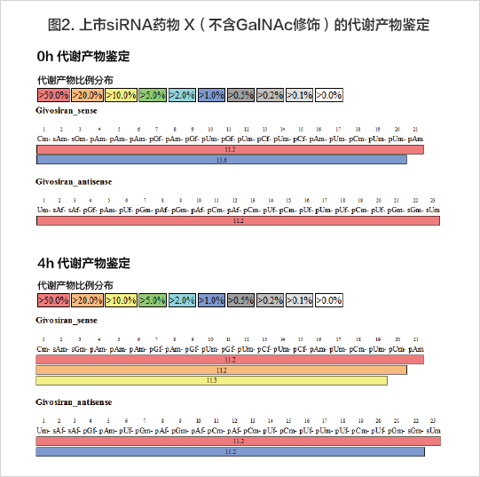 星空体彩app官方稳定性检测siRNA代谢产物分析